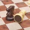 KOKOSUN International Chess Set, Magnetic, Foldable, Wooden, Convenient Storage (Chess