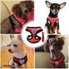FFWTPY Dog Harness Soft Padded Dog Harness Air Mesh Breathable