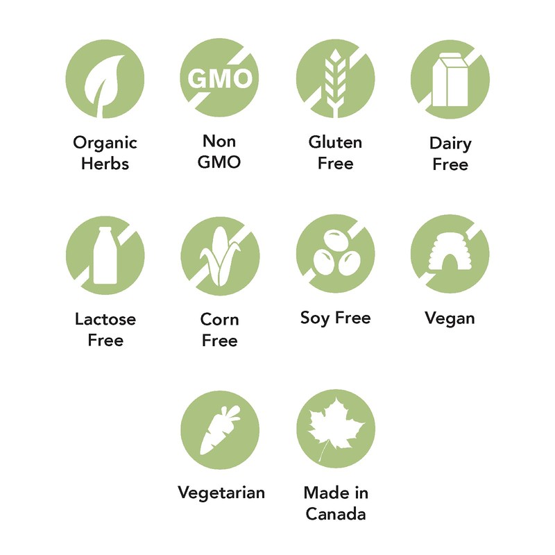 St. Francis Respirafect Lung Infections Tincture - 50ml - Coughs,