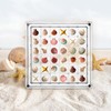 Acrylic Seashell Display Box, 12.5x12.5cm Transparent Sea Shell Holder, 36