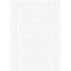 Brunnen 1066947 Ring Binder Inserts A4 Ruled with Margin Lines, Type 27 Ruling, 100 Sheets, 70 g/m², White