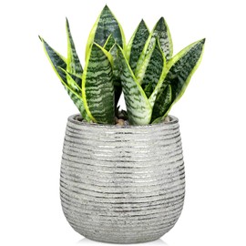 DILATATA Ceramic Pots with Drainage Hole 6.7 Inch Flower Plant Pot Indoor Round Planter Pot for Succulents, Cacti, Cactus, Snake Plants Home Decor - Silver