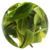 GOARTEA 2Pcs 250g / Total 17.6oz Spring Anji Bai Cha