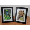 PPD Inkjet 260gsm Photo Paper Glossy Instant Dry Smudge-Proof Waterproof
