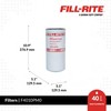 Fill-Rite F4010PM0 1" 40 GPM (151 LPM) 10 Micron Particulate