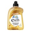Earth Choice Lemongrass and Ginger Concentrate Dishwashing Liquid 500 ml