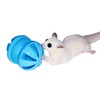 Rolling Toy Bundle - Interactive Floor Toys - Hamster, Guinea