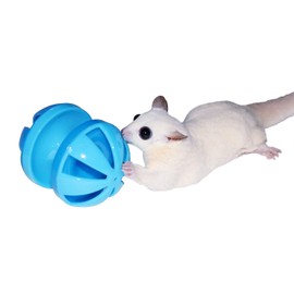 Rolling Toy Bundle - Interactive Floor Toys - Hamster, Guinea Pig, Chinchilla, Rabbit, Gerbil, Small Pet