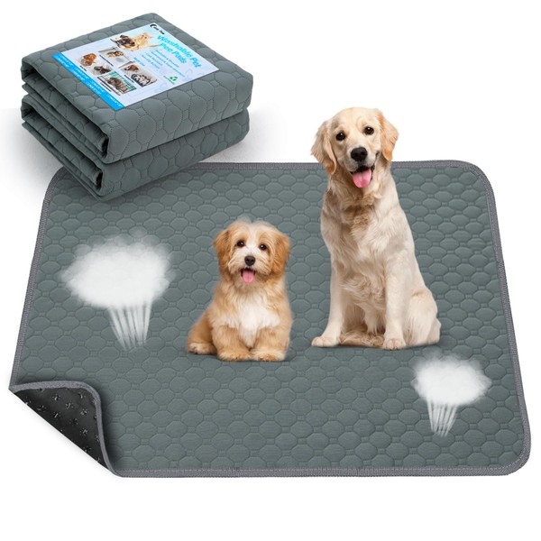 Casa Paw Washable Pee Pads for Dogs, Fast Absorbent Reusable
