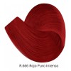 Color Tech Tinte Recargado R.666 Rojo Puro Intenso 90g
