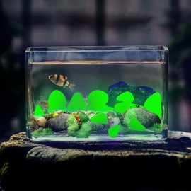 Glow in The Dark Pebbles for Outdoor Decor, Garden Lawn Yard, Aquarium, Walkway, Fish Tank, Pathway, Dwered by Light or Solar-Recharge Repeatedlyriveway, Luminous Pebbles 300Pcs (Green)