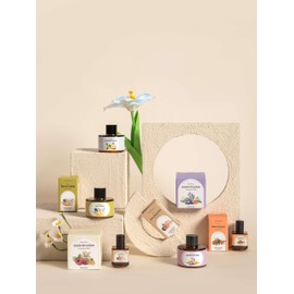 SenseFlow Home Scent Refill for Space Fragrance Diffuser SF101/SF101S, Up to 120 Days of Premium Fragrance per Refill, Household Essential 1 Pack, Clover Breeze