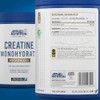 Applied Nutrition Applied Nutrition Creatine Monohydrate Powder 500g C 100%
