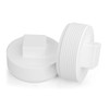 GASHER 20PCS PVC Cleanout Plug 1/2" NPT Male, End Cap