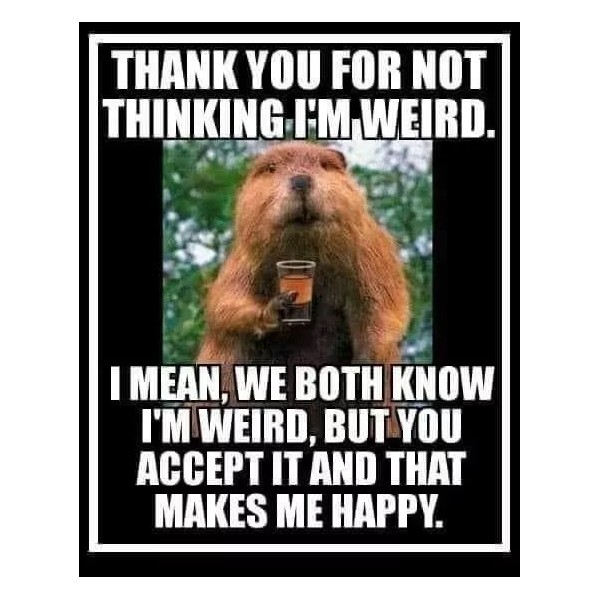 Funny Ground hog refrigerator magnet 3 1/2 x 4 1/2"