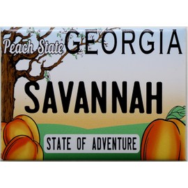 Savannah Georgia License Plate Fridge Collector's Souvenir Magnet NewDesign 2.5" X 3.5"