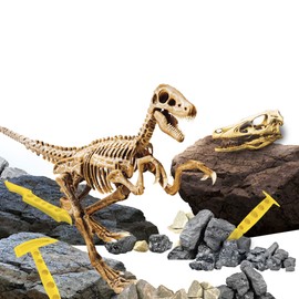 Lisciani - I'M A GENIUS SCIENCE - Velociraptor Super Kit - For Children Aged 7+ - Archaeologist Set for Children - Dinosaur Skeleton - Digging and Building - Learning and Science Game