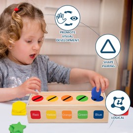 Adena Montessori Wooden Shape Sorter - Color Matching Learning Toys for 2-3 Year Olds (10 Shapes)