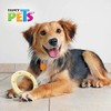 Fancy Pets Red Alert Juguete Rojo Forma Aro con Sabor