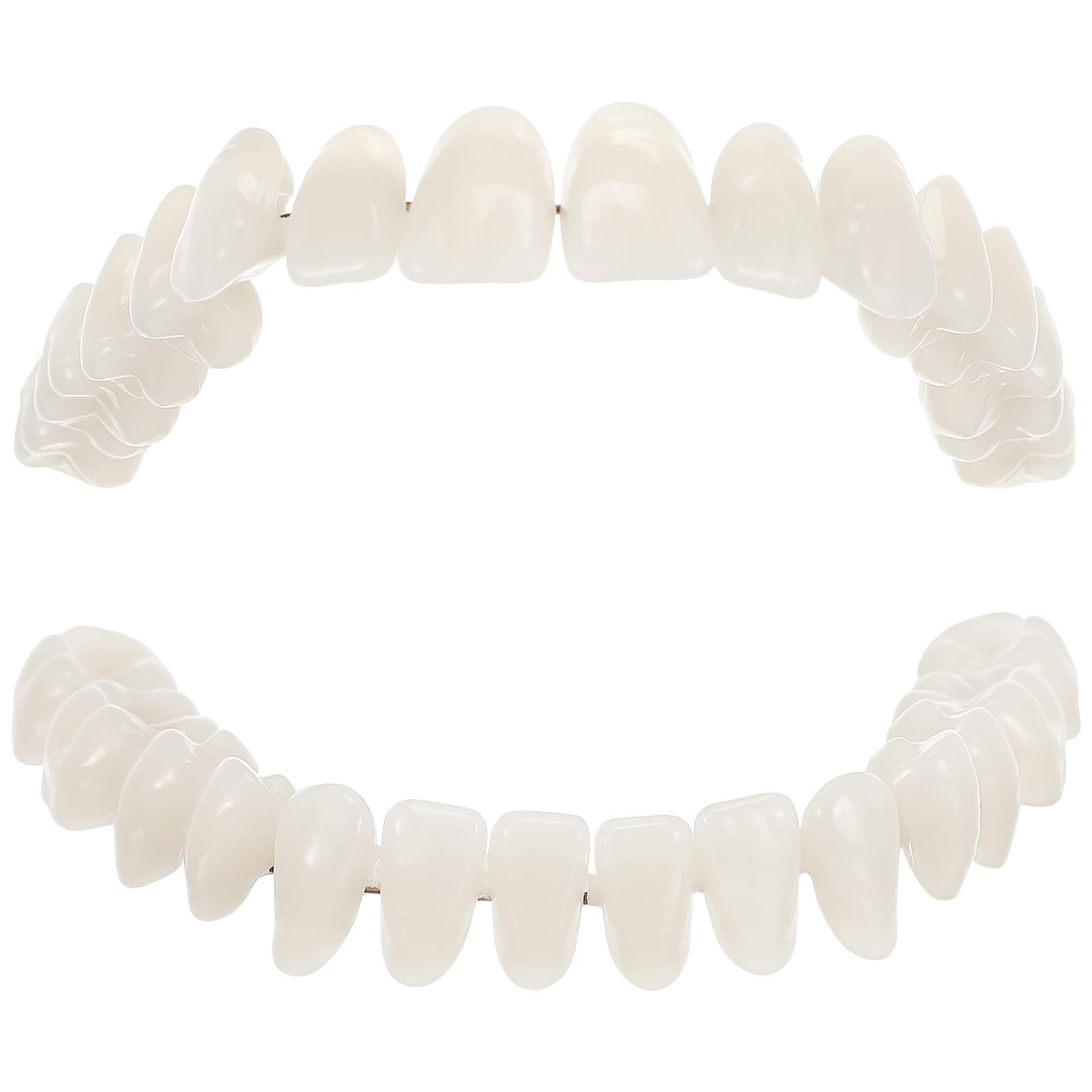 SOLUSTRE False Teeth Model 1 Set Model Dental 3D Model Human Teeth ...