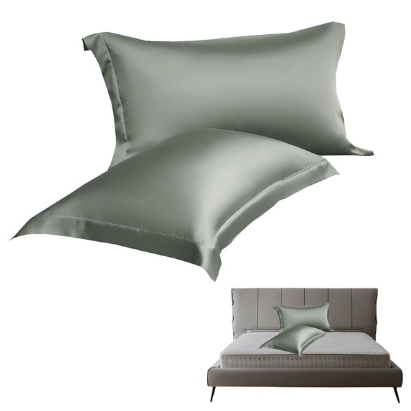 Pack of 2 Silk Cushion Covers, Luxury and Hypoallergenic, High