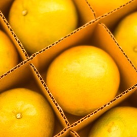 OUNONA 5 Set Packing Box Cardboard Boxes Divider, Shipping Carton Dividers For Glass Partition Plate Mobile For Shipping Fruit, Avoid Collision 13.1 x13.1 x 3.1 Inch