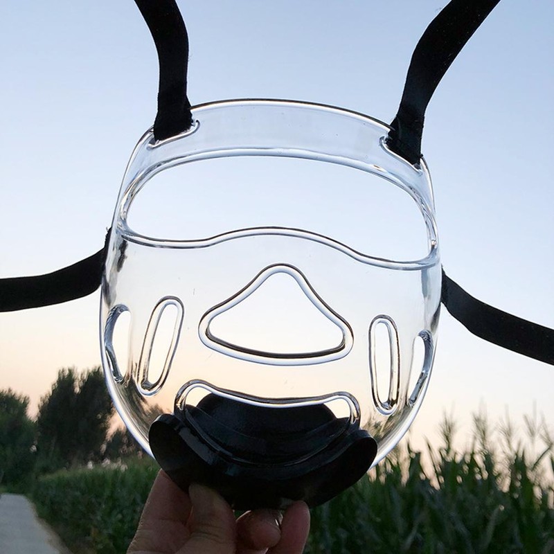 Taekwondo Headgear Clear Face Guard Portable Detachable Taekwondo Head Guard