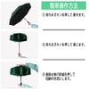 Arcade Folding Umbrella, Lightweight, Men's, Women's, Automatic Opening/Closing, green
