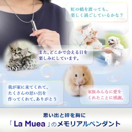 Lamua Memorial Cremation Pendant Keychain for Dogs and Cats, Pet Loss Compatible, Double Waterproof, Stainless Steel