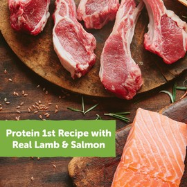 Wellness Rewarding Life Dog Treats, Training Treat, Grain Free, Soft Lamb & Salmon (6 Ounce Bag)