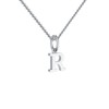 Letter chain R silver letter pendant R + incl. luxury