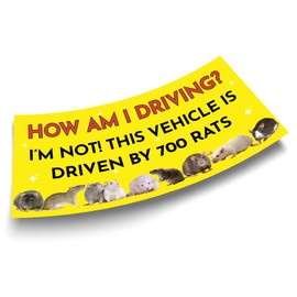 700 Rats Bumper Sticker How Am I Driving I'm Not This Vehicle is Driven by 700 Rats Bumper Sticker for Car Truck, Waterproof UV-Resistant Sticker Size 7.5x3.75 inches