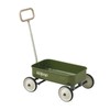 PULA-Wild 2-in-1 Kids' Pull-Along Wagon Toddlers Push Walker for 2.5-8