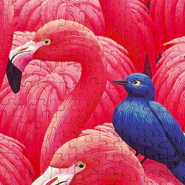 Graphinee Jigsaw Puzzles for Adults 1000 Pieces, Pink Flamingo Puzzles, Challenging Funny Game with Family Friends