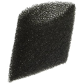 Hoover Filter, Extractor Foam Recovery Tank Cup F5800 Series