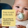 Tommee Tippee Night Time Pacifier, 6-18 Months, Symmetrical Silicone Baglet,