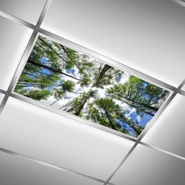 C.IOPMNU 2 Pack Fluorescent Light Cover for Classroom,Trees in Summer Ceiling Decorative Film Filter,Eliminate Harsh Glare Causing Eyestrain and Headaches