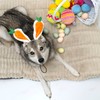 Midlee Carrot Bunny Ears Easter Dog Headband Costume (Large)