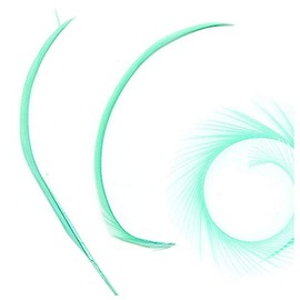 Mint Green Biot Feathers x 3 - Millinery hat, fascinator, wedding decoration - long feathers