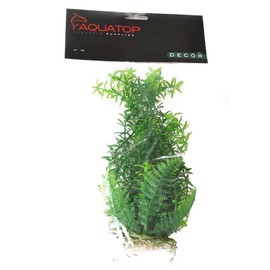 AquaTop Aquatic Supplies Anacharis, Color: Green, Size: 9 Inch