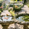 Ulycon 2 Pack Bird Bath Copper Disk, Premium 0.6mm Sturdy
