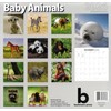 2026 Baby Animals Full Size Wall Calendar for Planning, Scheduling,