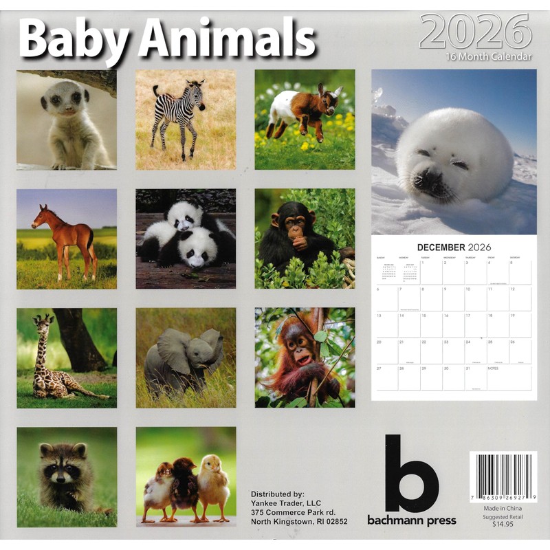 2026 Baby Animals Full Size Wall Calendar for Planning, Scheduling,