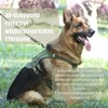 Dog Harness Medium Large Dogs with 2 Backpacks No Pull