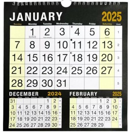 2025 Wall Calendar Home Office 3 Month to View Planner in Hanging Black & White