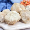 200g Helicopteric Mane Mushroom Tea, Domestic Product / 노루궁뎅이버섯 200g