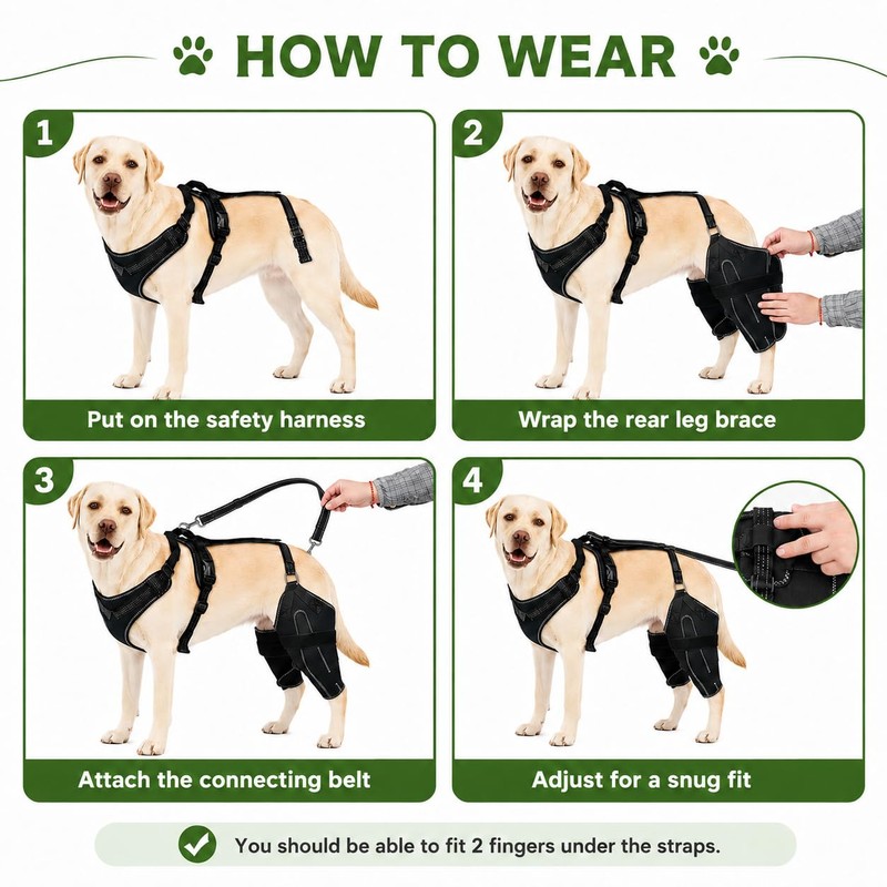 RDOPODNJ (M Dog Rear Leg Brace with Safety Harness and