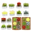 SSleng 12pcs Cactus Tealight Candles, Handmade Delicate Succulent Cactus Candles