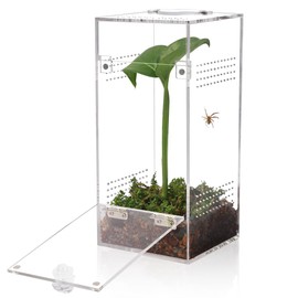 JHCYULUO Jumping Spider Enclosure, Tarantula Enclosure, Snail Terrarium, Praying Mantis Habitat, Insect Terrarium, Small Reptile Terrarium (6.8x3.1x3.1inch)