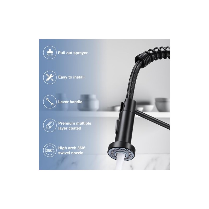 DJS Kitchen Faucets with Pull Down Sprayer Matte Black -